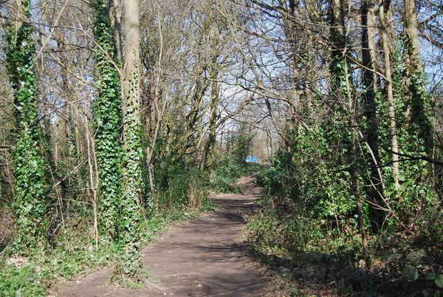118 Shepherds Lane Dartford Bagian luar foto